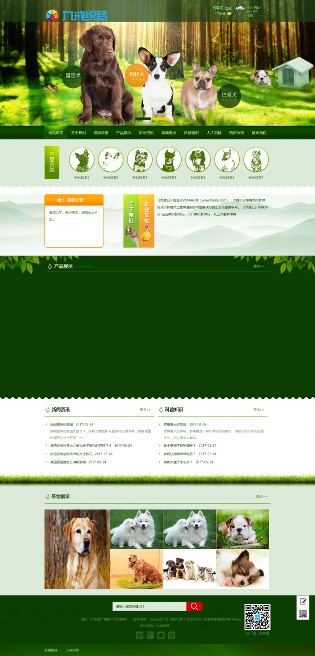 绿色宠物狗机构类网站织梦模板(带手机端)电脑端演示
